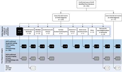 Clinical presentation and diagnosis of adult-onset leukoencephalopathy with axonal spheroids and pigmented glia: a literature analysis of case studies